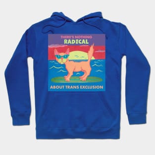 Radical Trans Inclusive Cat Hoodie